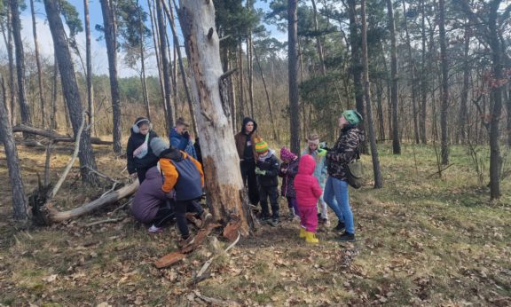 Uczestnicy spaceru stoją obok martwego drzewa w lesie. Obserwują ślady żerowania owadów.
