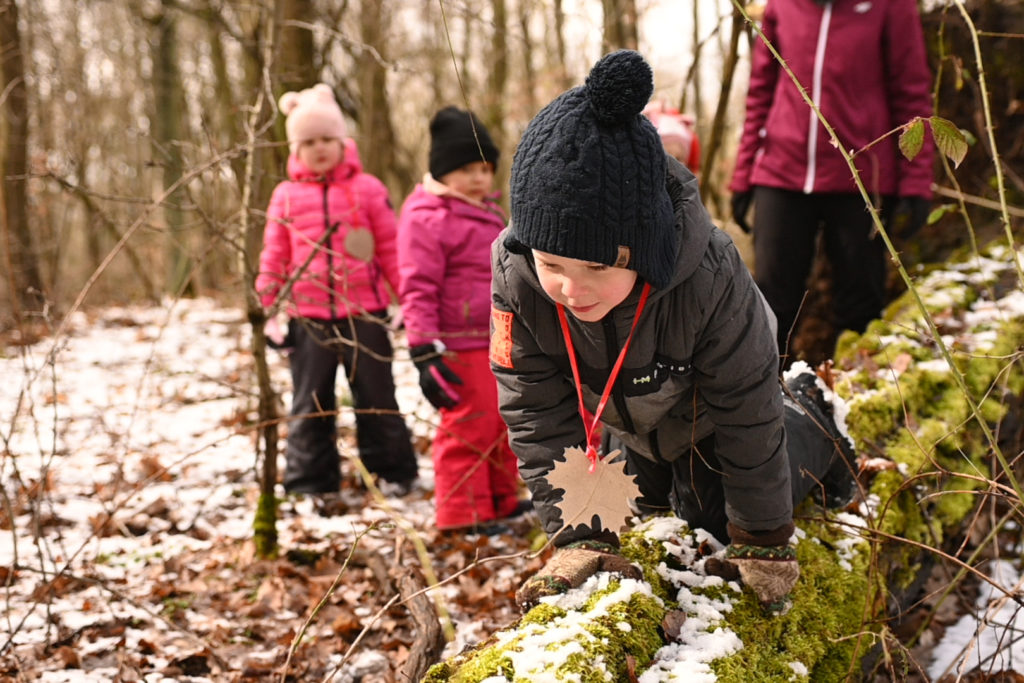 Chłopiec idzie na czworakach po kłodzie.